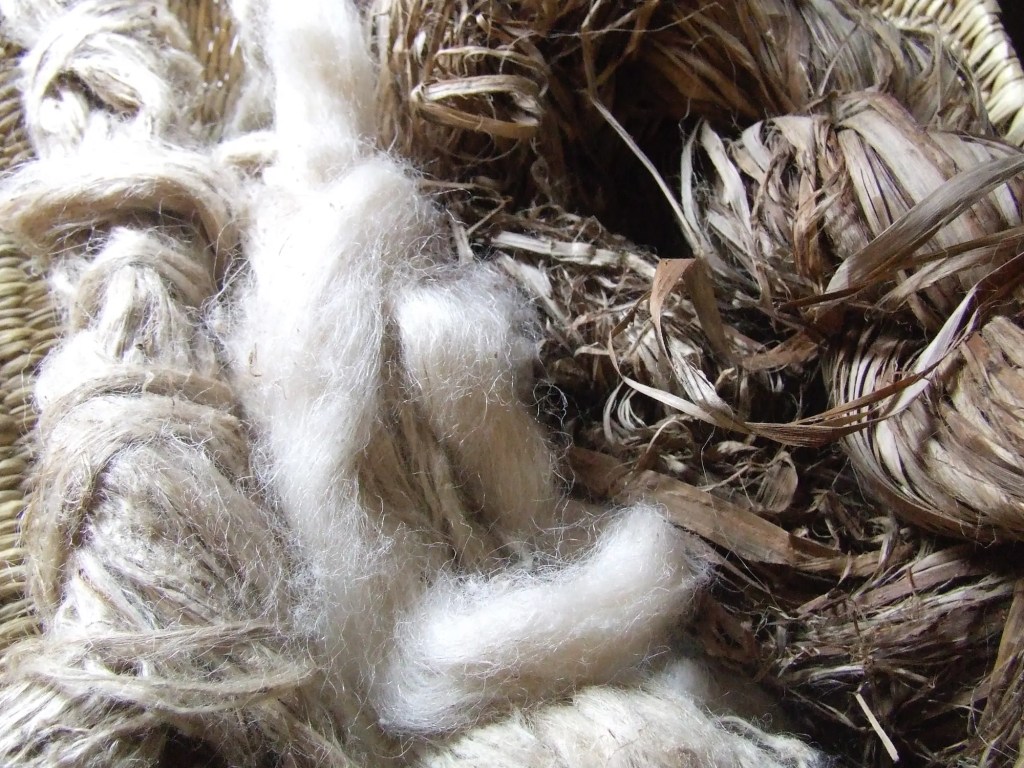 Himalayan Giant Nettle Fibre